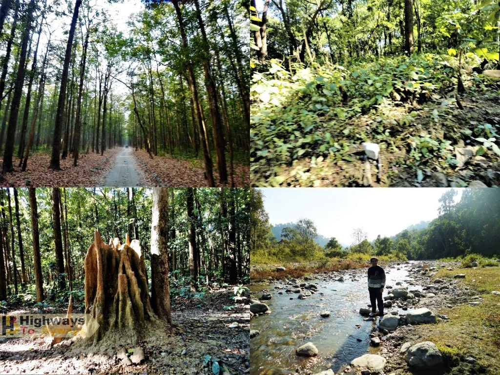 Sitabani Forest Reserve